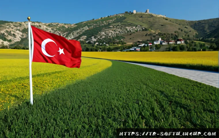 İşletmeler İçin Açık Kaynak Trendleri: Hangi Yatırım Ne Zaman Mantıklı? 4 오픈소스 소프트웨어의 최신 동향 관련 이미지 2